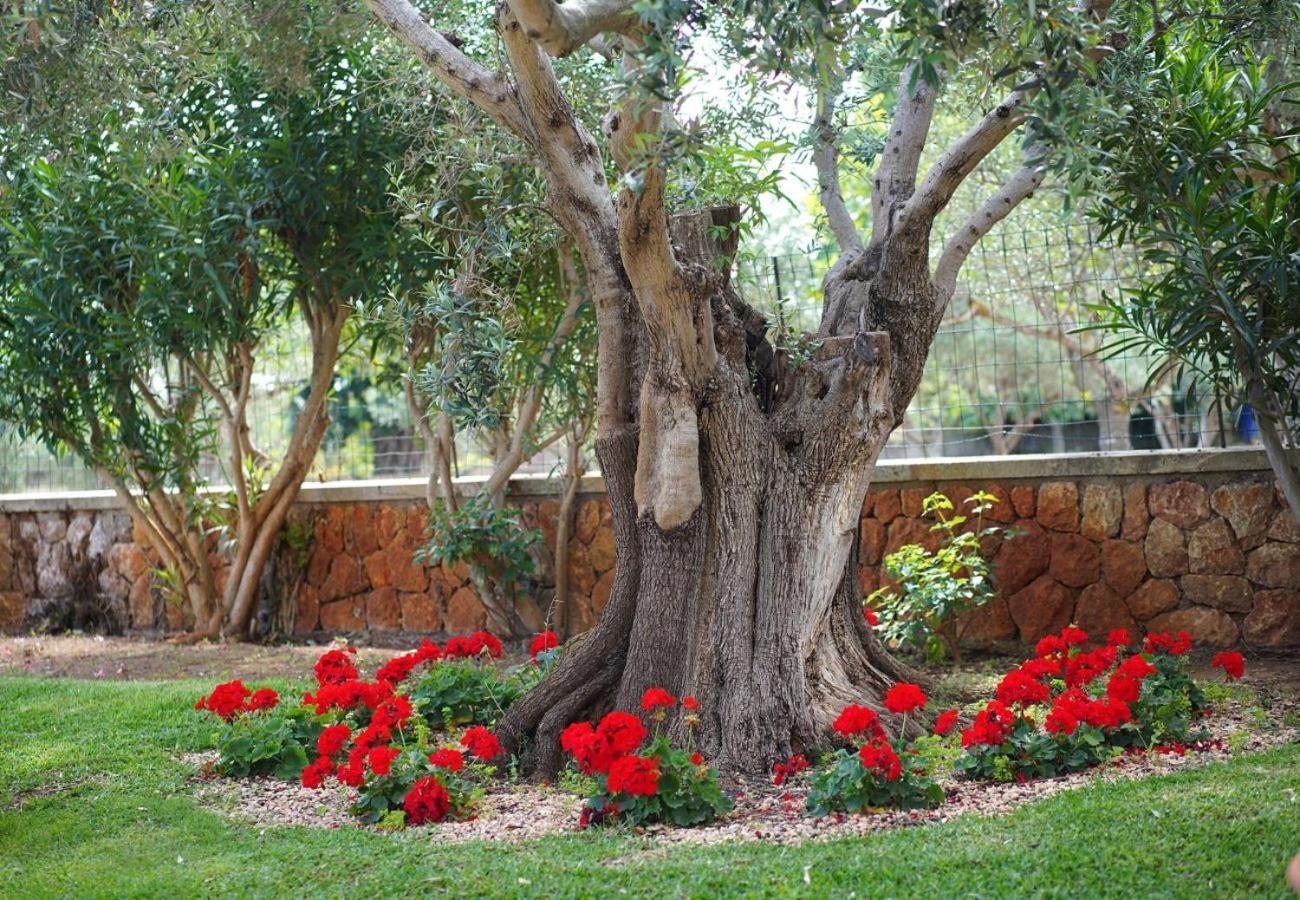 Vakantiehuis Charming With A Fabulous Garden In By Renthousing *